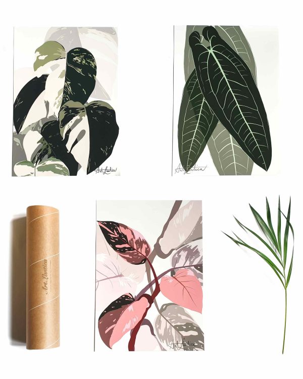 Botanične ilustracije (slovenski izdelek - Art Lantica)