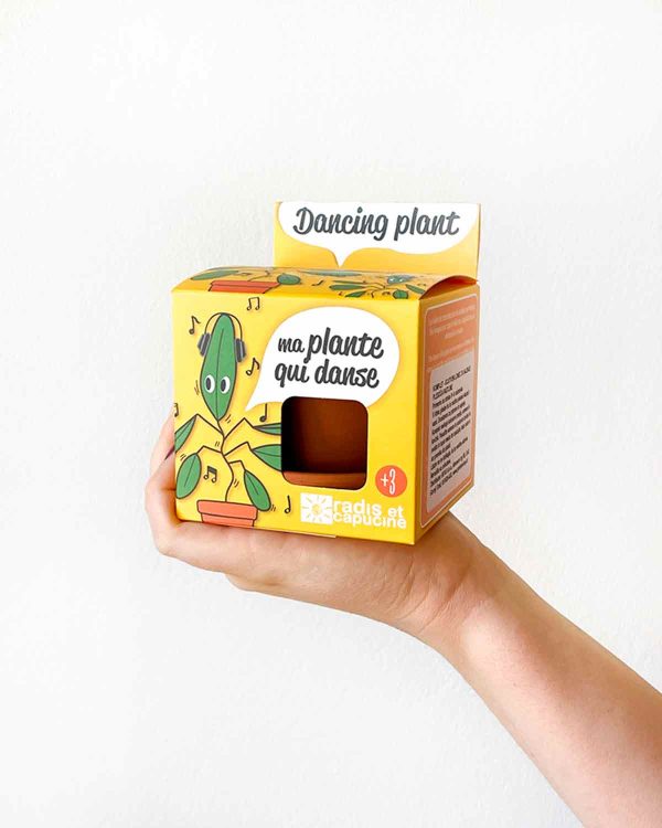 Komplet - Gojitveni lonec za sajenje plesoče rastline (dancing plant) - Džungla Plants
